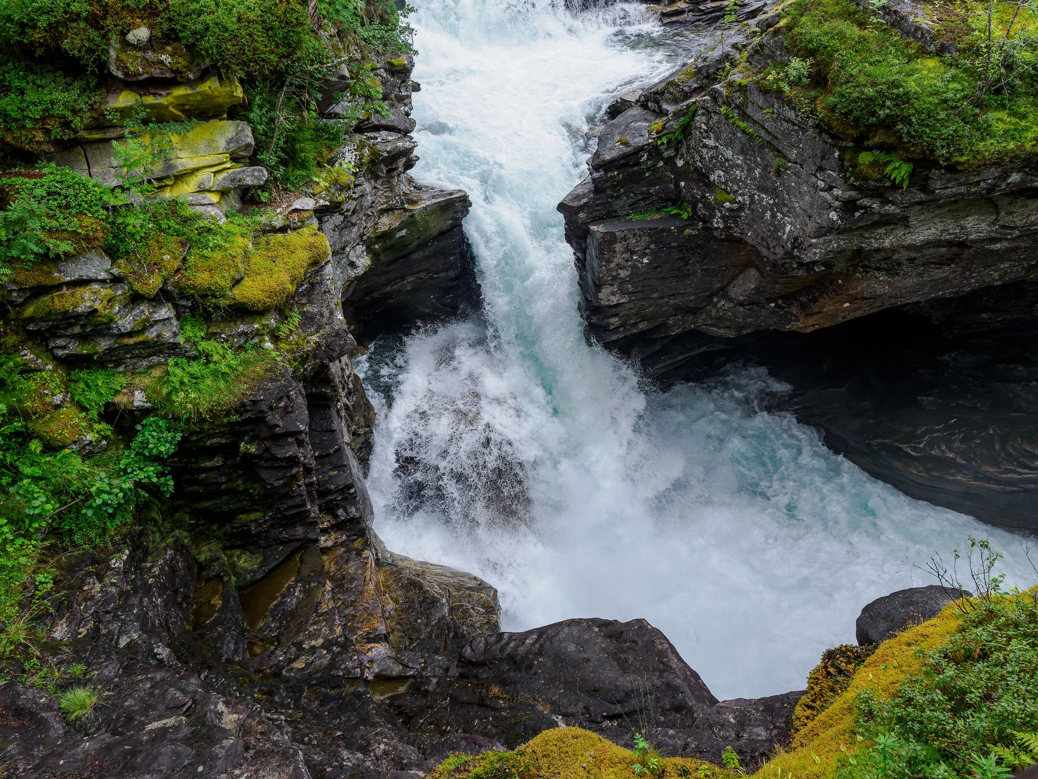 250813 1005 H  2HR0119 DxO DeepPRIME XD2s